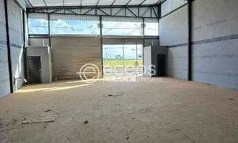 Imagem 5: Galpão para aluguel, Novo Mundo - Uberlândia/MG