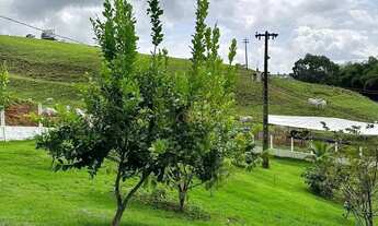 Imagem 5: Fazenda À Venda em Atalaia! Leia a Descrição!