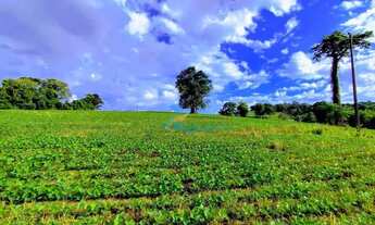 Imagem 6: Sítio à venda, 9 alqueires por R$ 1.400.000 - Linha Santana - Catanduvas/PR