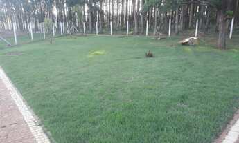 Imagem 7: Chacara para venda