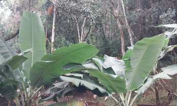Imagem 6: Terreno de 10384.5m² no bairro Santo Antônio De Lisboa