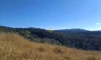 Imagem 6: Chácara Campo Largo 27.000m²