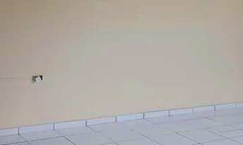 Imagem 6: VEND CASA NO DOM PEDRO