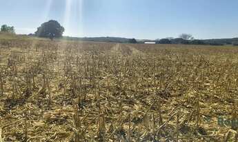 Imagem 7: Fazenda para venda, Rosário Oeste, MT - 630 Hectares