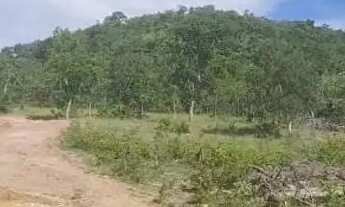 Imagem 5: Fazenda 15 alqueires município de araguapaz