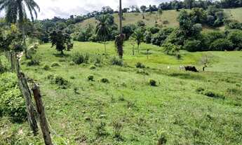 Imagem 4: Vendo excelente fazendinha em Nazaré das farinha