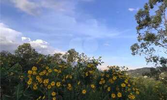 Imagem 3: Terreno à venda em Roseira - SP