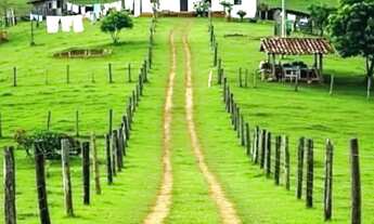 Imagem 2: Fazenda, Sítio, Chácara