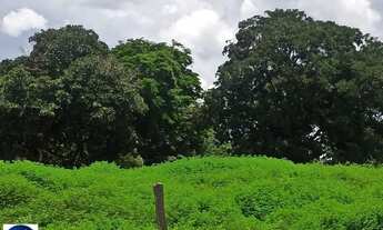 Imagem 5: Fazenda à Venda em Amorinópolis/GO 84 Alqueires