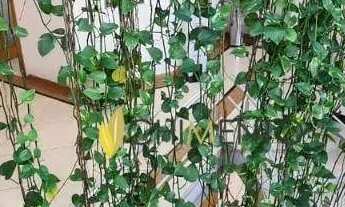 Imagem 5: Prédio comercial para venda, localizado no bairro da Casa Verde, av. Engenheiro Caetano Ál