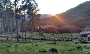 Imagem 2: Lindo sítio à venda em Canela, na encantadora Serra Gaúcha