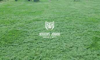 Imagem 7: FAZENDA FORMADA NA REGIÃO DE JANAUBA E CAPITÃO ENEIAS MG PARA PECUARIA E COM MUITA AGUA