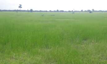 Imagem 7: Fazenda à venda com 2.366 Hectares no município de Barra do Garças MT valor 60.000.000,00