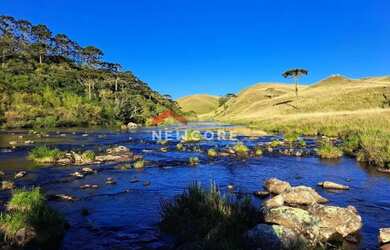 Imagem: Fazenda em RS 020 - Ouro Verde - Cambará