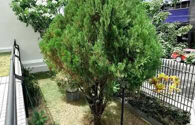 Imagem 2: Imóvel para venda tem 112 metros quadrados com 3 quartos em Centro - Fortaleza - CE