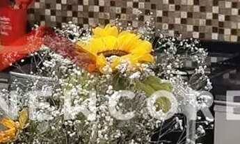 Imagem 5: Apartamento em Rua Vicente de Carvalho - Rudge Ramos - São Bernardo do Campo/SP