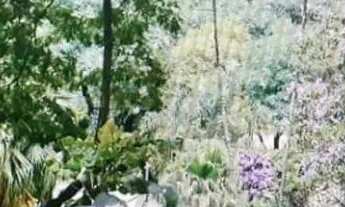 Imagem 4: Lote em Rua Uruguaiana - Vila Alzira - Santo André/SP