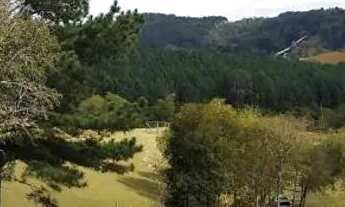 Imagem 2: Terreno Colombo Terreno / lote com venda por R$231.500