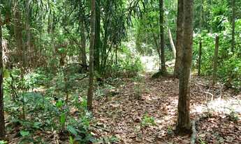 Imagem 3: CHÁCARA QUITADA DE 6.000 M²