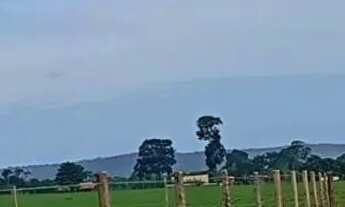 Imagem 5: Chácara a venda próximo a Goiânia . Barato, parceladas. Trocas, boleto, promissória chama!