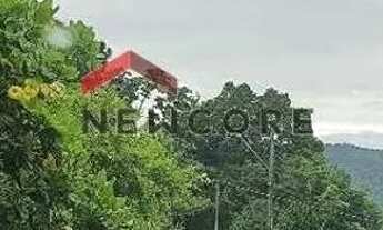 Imagem 6: Sítio em Estrada Manoel Leôncio de Souza Brito - Vargem Pequena - Florianópolis/SC