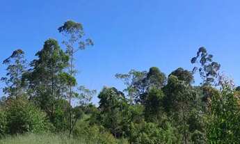 Imagem 2: Terrenos para venda possui 1000 metros quadrados em Centro (São João Novo) - São Roque - S