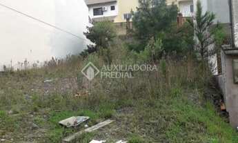 Imagem 2: PORTO ALEGRE - Terreno Padrão - Aberta dos Morros