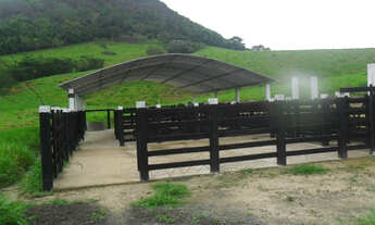 Imagem 3: Sitio 21 hectares município de nova venecia es