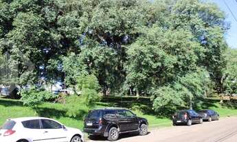 Imagem 6: PORTO ALEGRE - Apartamento Padrão - Passo da Areia