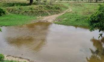 Imagem 4: Fazenda Em Umbauba