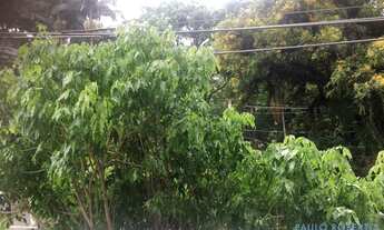 Imagem 5: APARTAMENTO - BOM RETIRO - SP