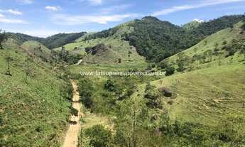 Imagem 7: Fabio Paes Imóveis - Fazenda a venda com 484 ha com Geo e capacidade 450 vacas
