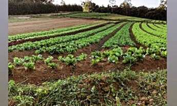 Imagem 4: Comece a Investir em Terrenos no Interior em Ibiúna SP
