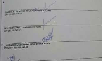 Imagem 5: Lote imolibiario