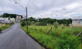 Imagem 3: CAXIAS DO SUL - Terreno Padrão - SÃO LUIZ