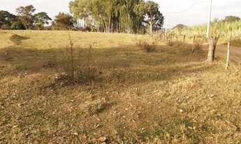 Imagem 4: Sitio em cajuru 8.5 alqueires 900.000.00 ( don