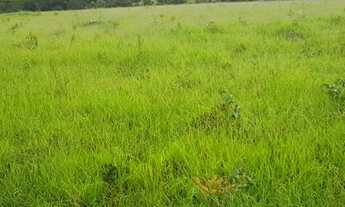 Imagem 4: FAZENDA COM 72 HECTARES EM ARAXÁ MG