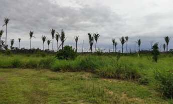 Imagem 6: Vendo Sítio de 69 hectares(345x2000), Na BR 319, KM 13, Linha Transpurus