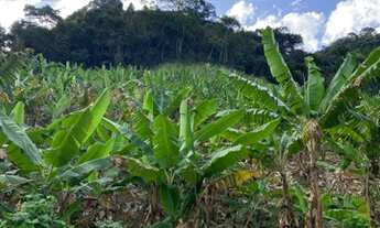 Imagem 2: Terreno 35mil m2 Centro de DOMINGOS MARTINS