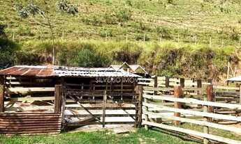 Imagem 2: Sítio- Quatis, Ribeirão de São Joaquim