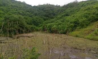 Imagem 3: Sítio com 21 hectares