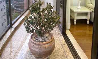 Imagem 4: EXCELENTE IMÓVEL - MOBILIADO - ANDAR ALTO - VARANDA - LAZER - LOCALIZAÇÃO PRIVILEGIADA