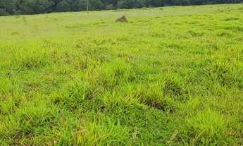 Imagem 6: FAZENDA COM 72 HECTARES EM ARAXÁ MG