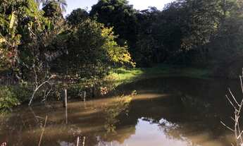 Imagem 7: Sítio 11 hectares riquíssimo em Água à venda em Piracema/MG