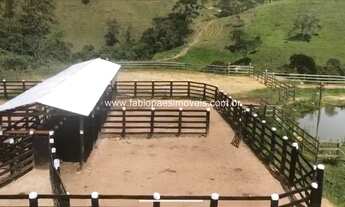 Imagem 4: Fabio Paes Imóveis - Fazenda a venda com 484 ha com Geo e capacidade 450 vacas