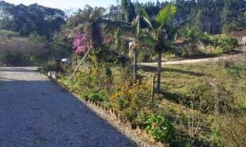 Imagem 4: Aluguel por diária