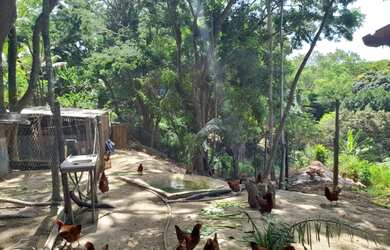 Imagem 3: Chácara Na Ilha do Sol