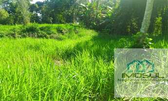 Imagem 6: Mini Chácara Itaum 4.105,00 m²