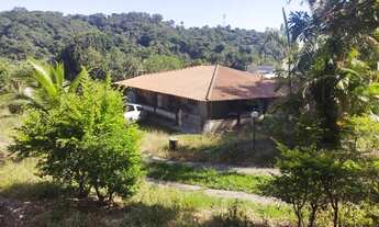 Imagem 2: Sítio em Betim com pomar produzindo bairro Limoeiros