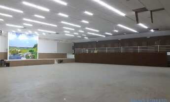 Imagem 5: GALPÃO - JARDIM MARIA CECÍLIA - SP